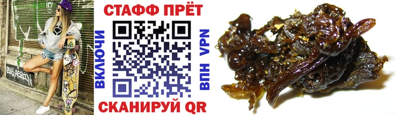 Что такое Сертолово Бошки Шишки  Alpha-PVP  Гашиш  Меф 