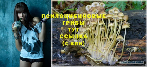 прущий лед Аркадак
