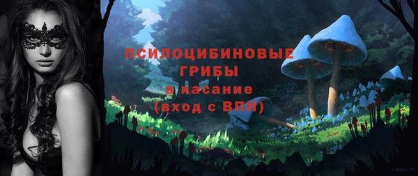 прущий лед Аркадак